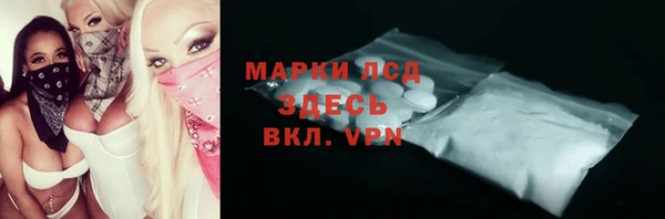 шишки Верея